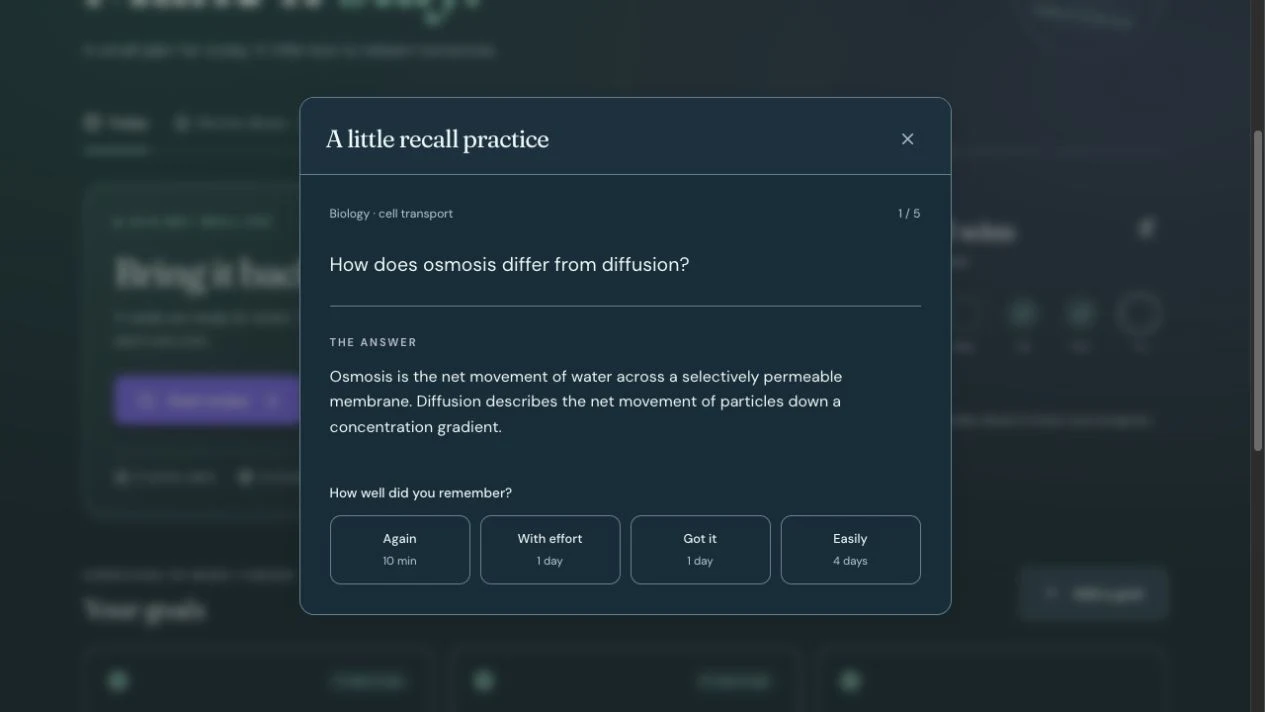 A review card with its answer revealed and four recall ratings